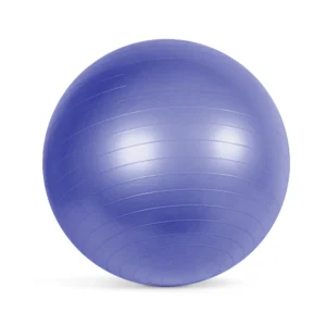 Fitness Stability Ball, 65cm, Purple